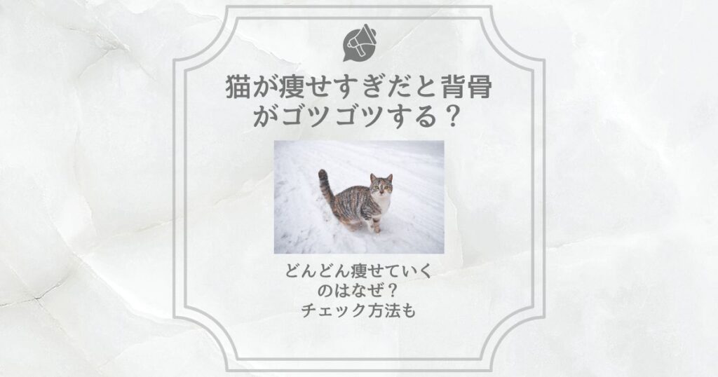 猫 痩せすぎ 背骨