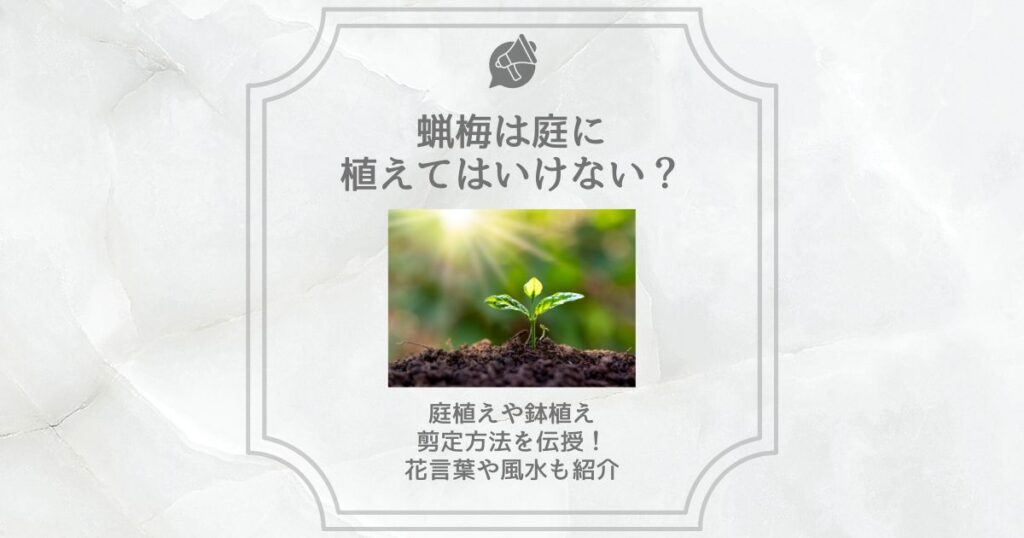 蝋梅 庭に植えてはいけない